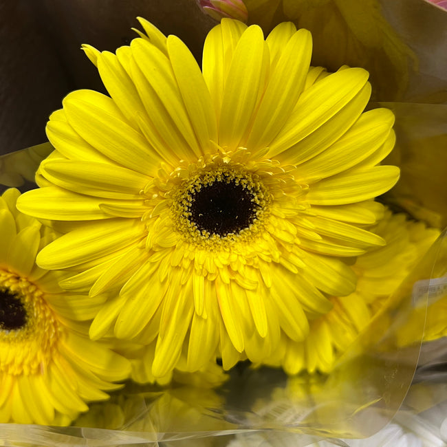 Ramo de gerberas (flores amarillas)